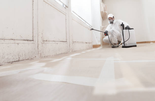 24/7 Emergency Mold Removal experts in Coopersville, MI